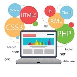 Web Design & Development